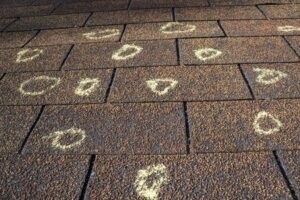 roof damage - roof repair expert