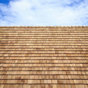 Which Better Roofing