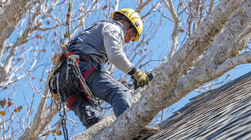 trusted roofing expert in Poconos